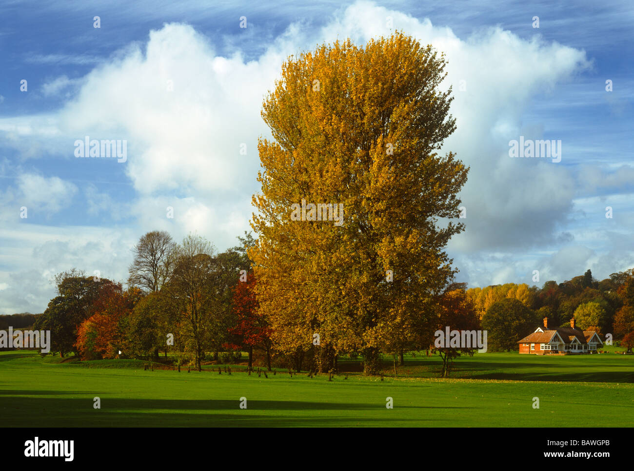 Close House Country Club near Wylam, Northumberland Stock Photo