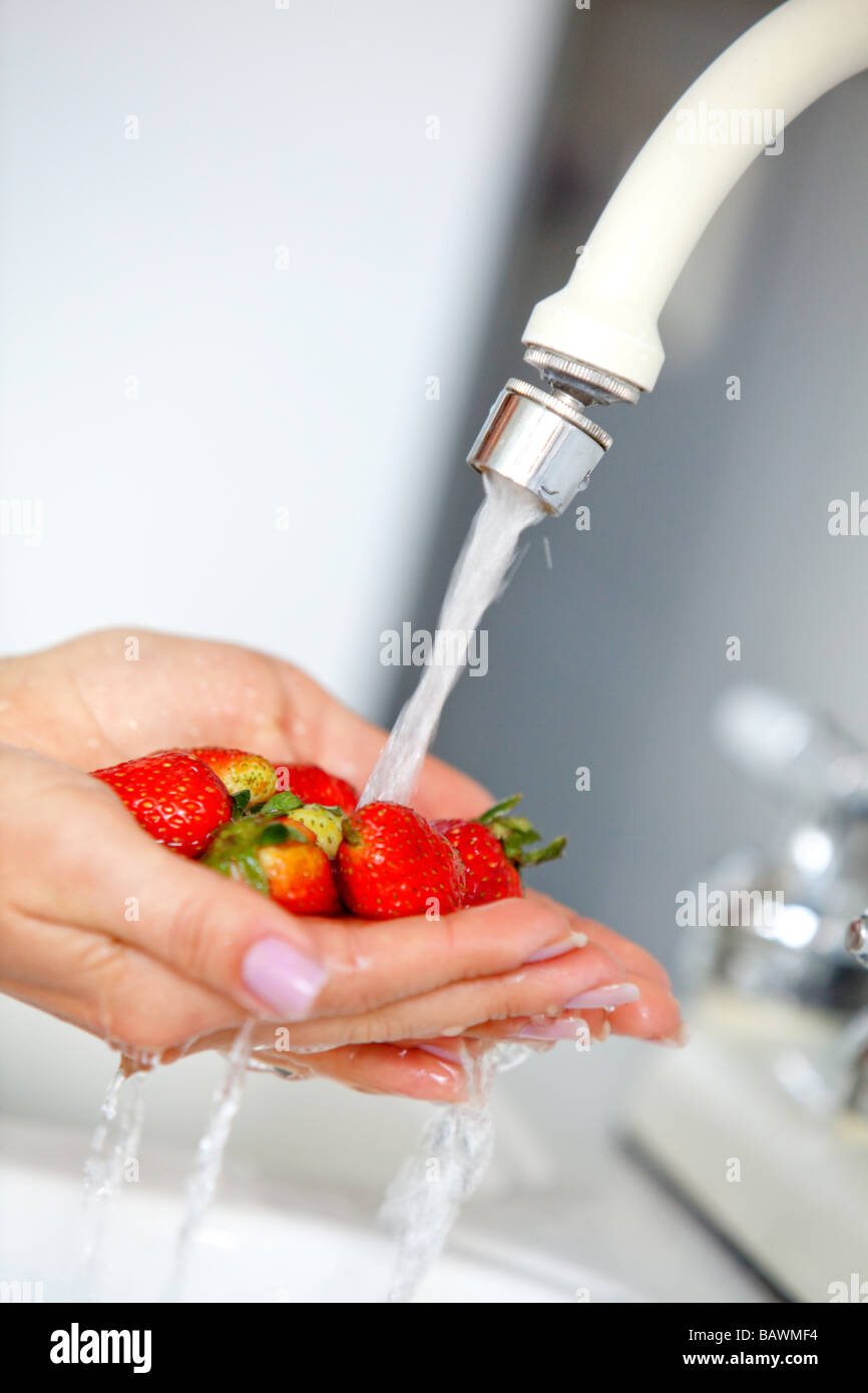 Strawberries runner plant hi-res stock photography and images - Alamy