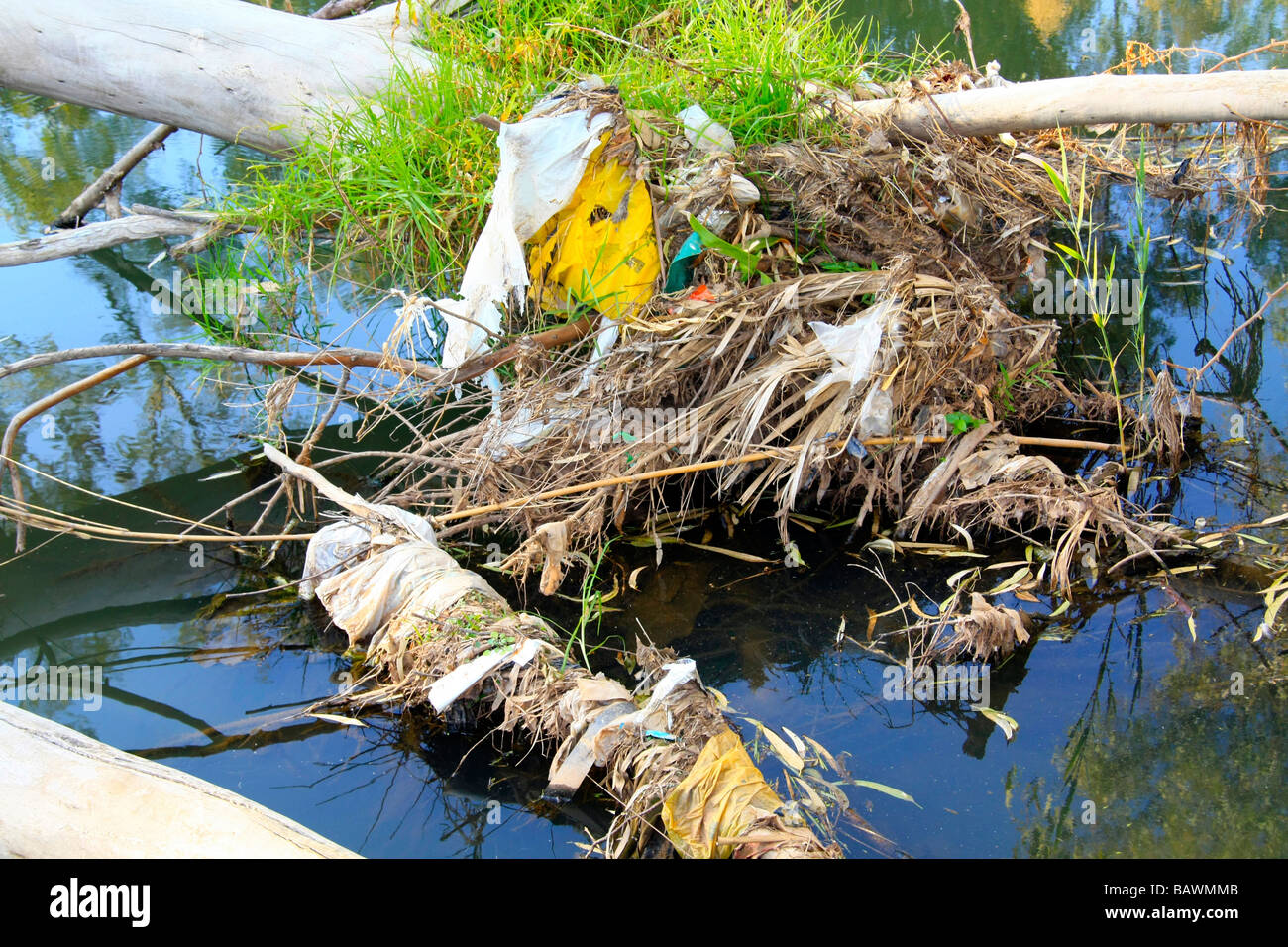 Pollution in a dam in South Africa Stock Photo Alamy