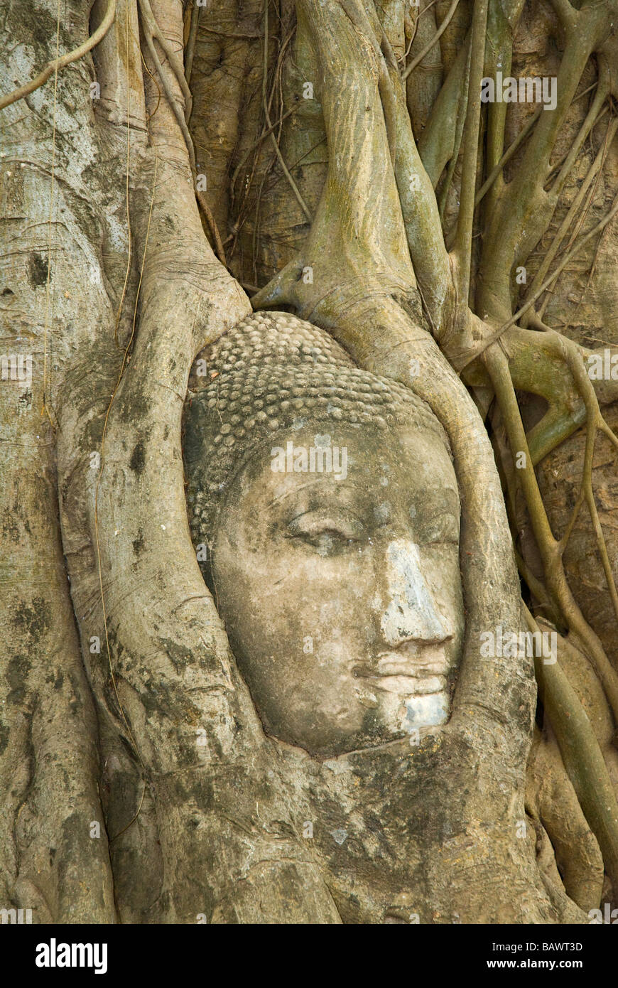 Ayutthaya temples buddhas hi-res stock photography and images - Alamy