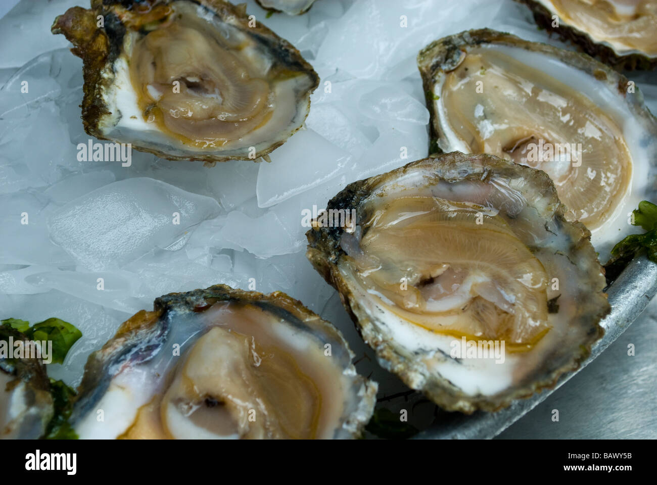 Baron Rouge Hi Res Stock Photography And Images Alamy