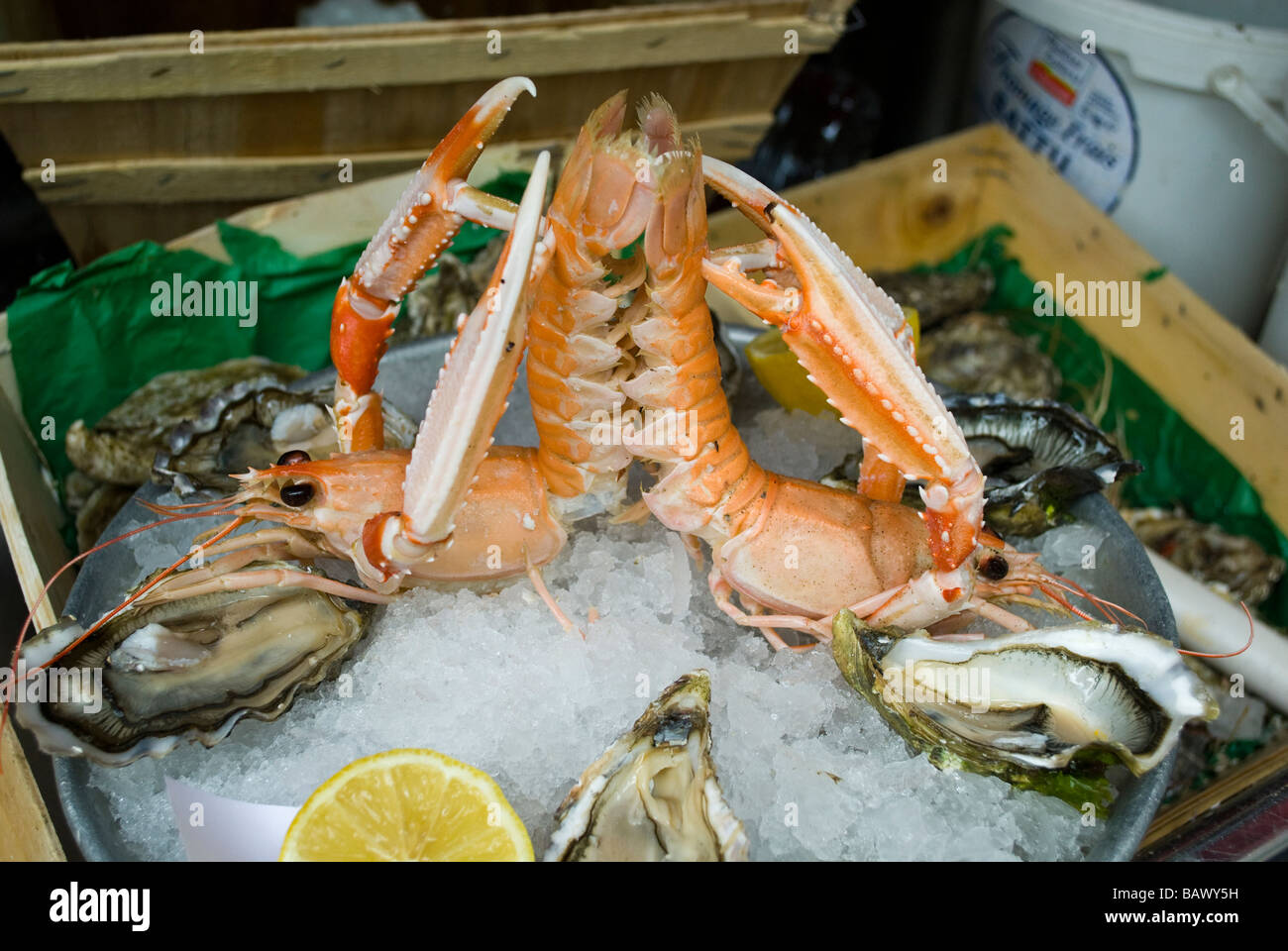 Platter of Fresh Seafood in Paris Stock Photo Alamy