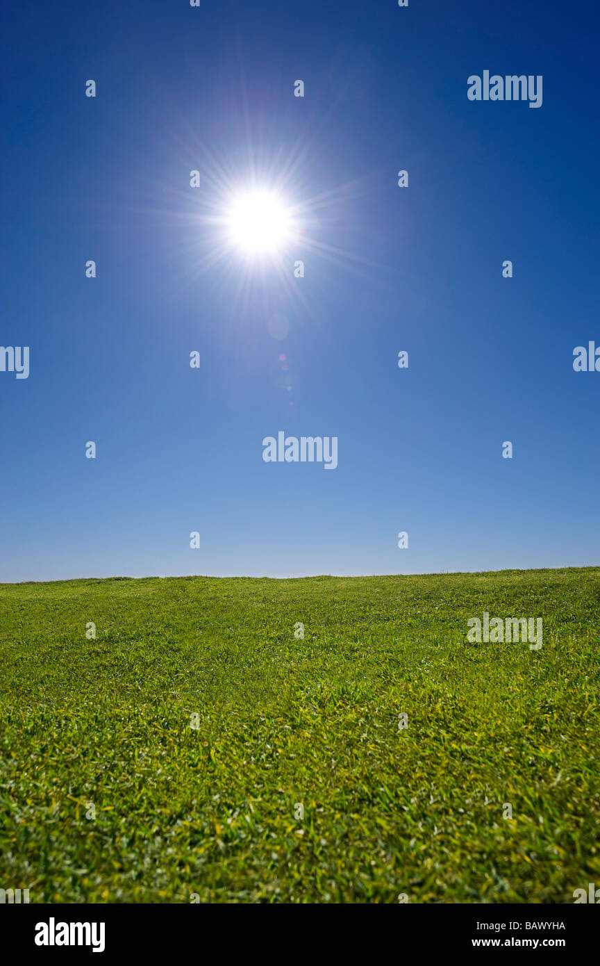 Green grass and blue sky Stock Photo