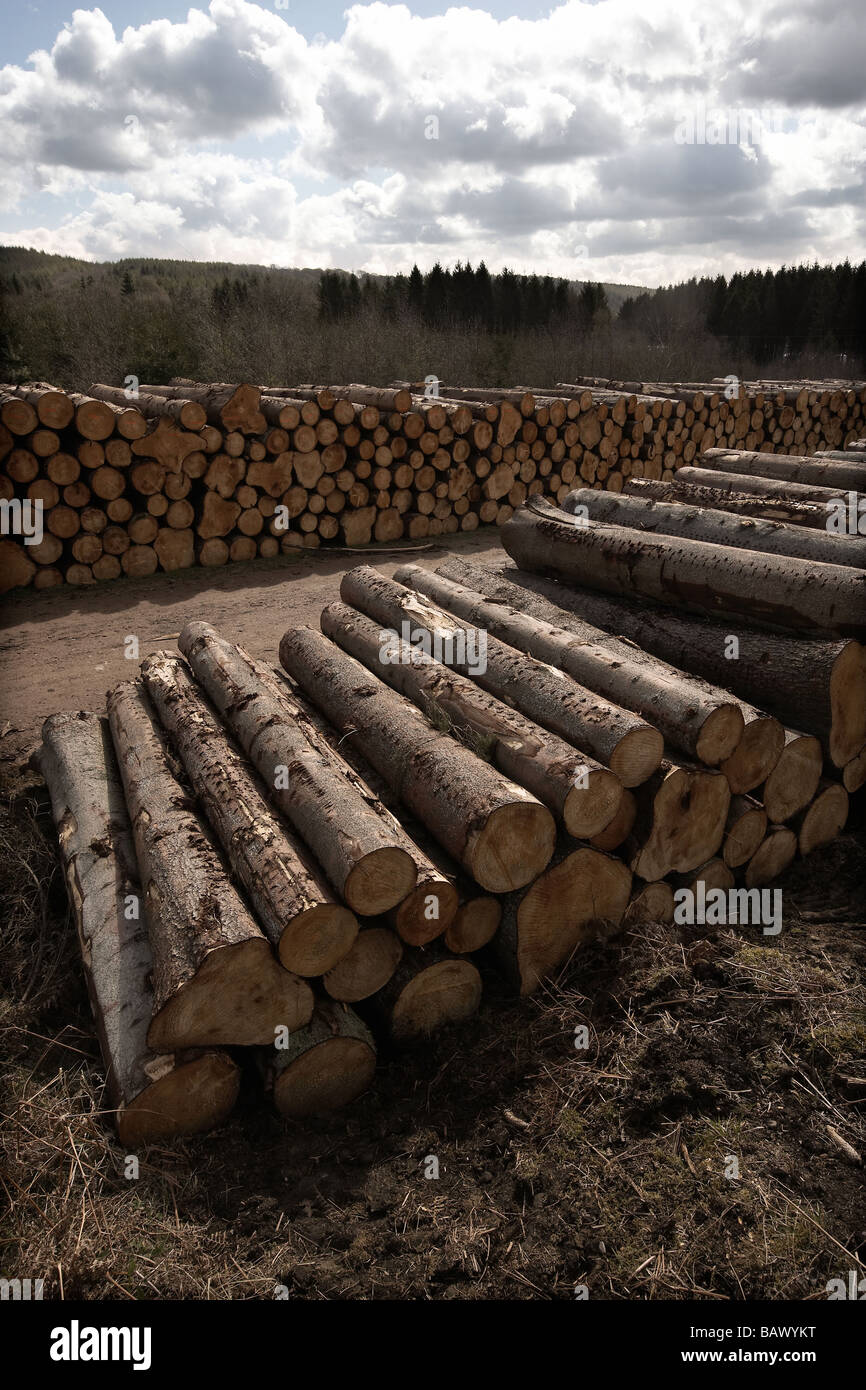 Rural felling hi-res stock photography and images - Alamy