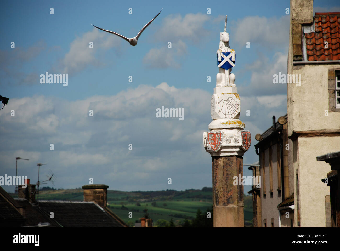 The Mercat Cross Inverkeithing with seagull Stock Photo