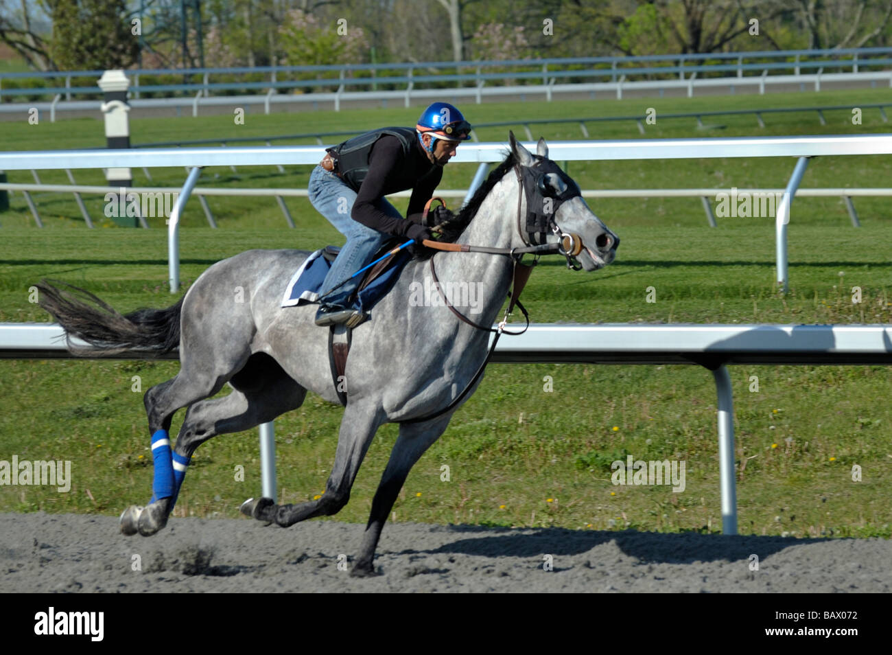 Thoroughbred horse and exercise jockey Stock Photo Alamy