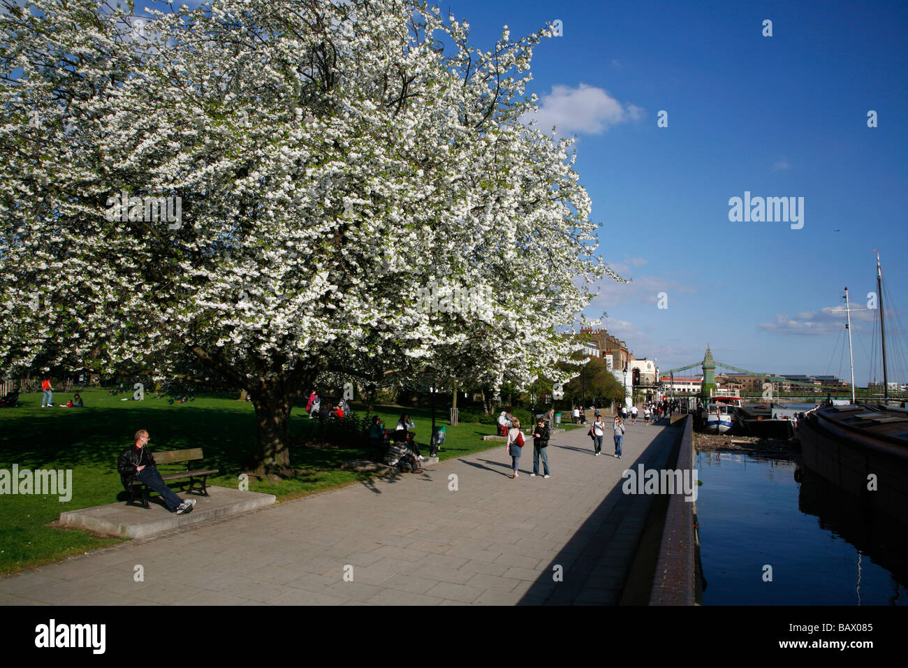 Thames Path at Furnivall Gardens, Hammersmith, London Stock Photo Alamy