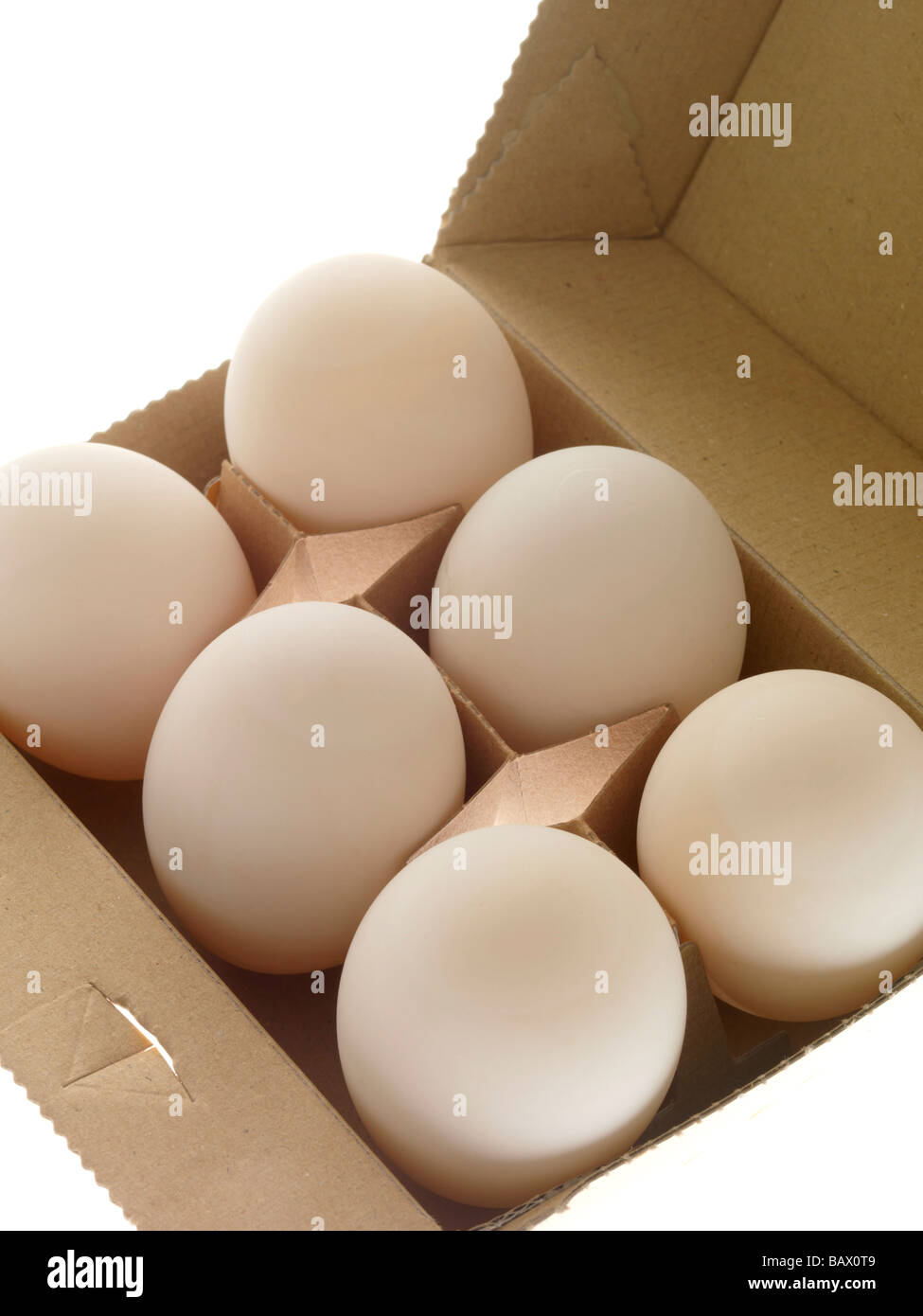 Duck egg cartons hi-res stock photography and images - Alamy