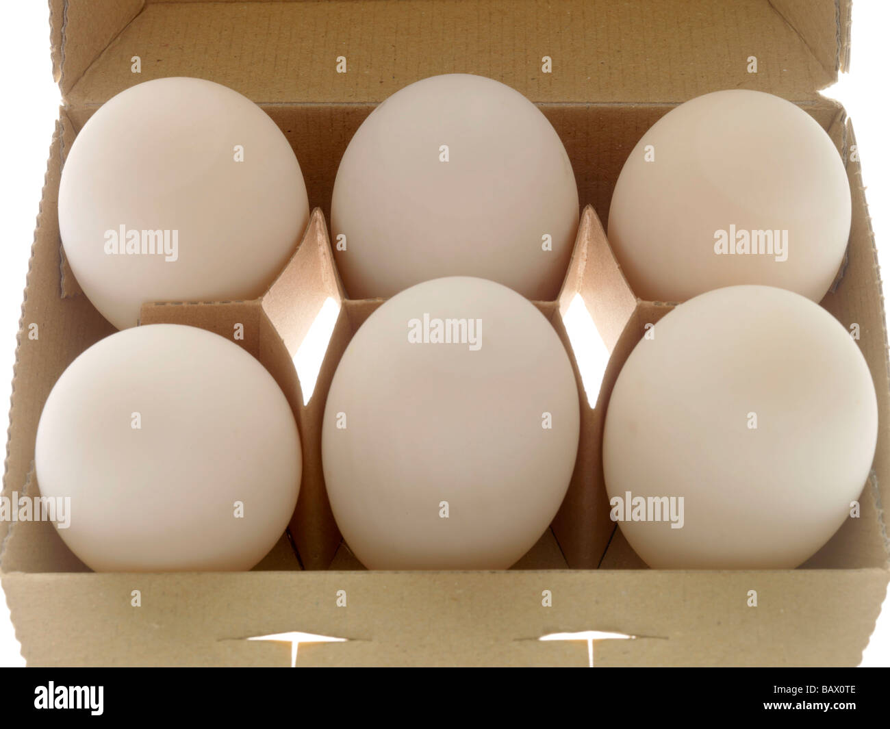 Carton of Duck Eggs Stock Photo Alamy