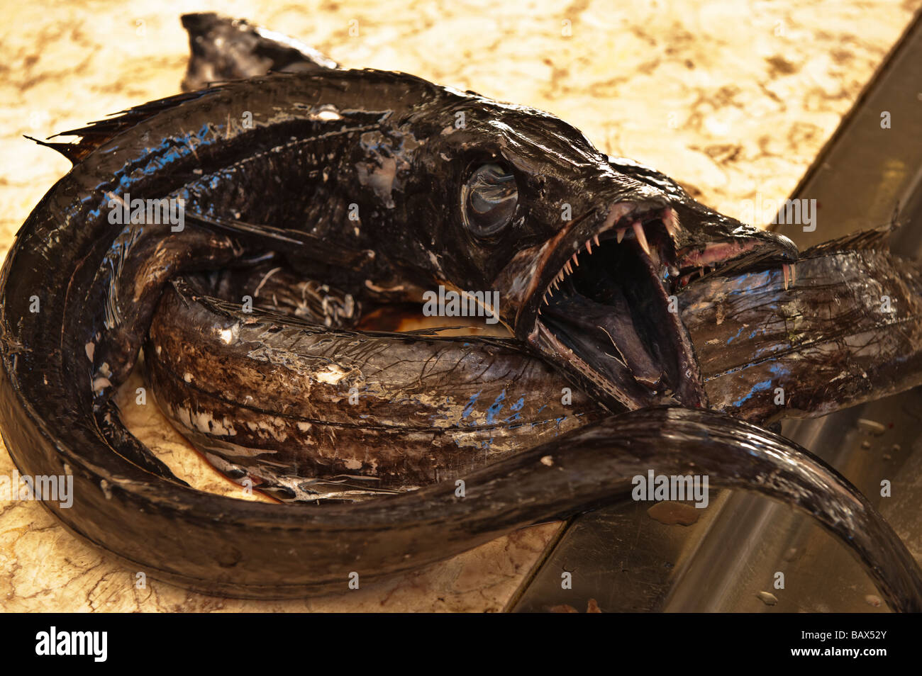 A Scabbard fish for sale at a fish market Stock Photo