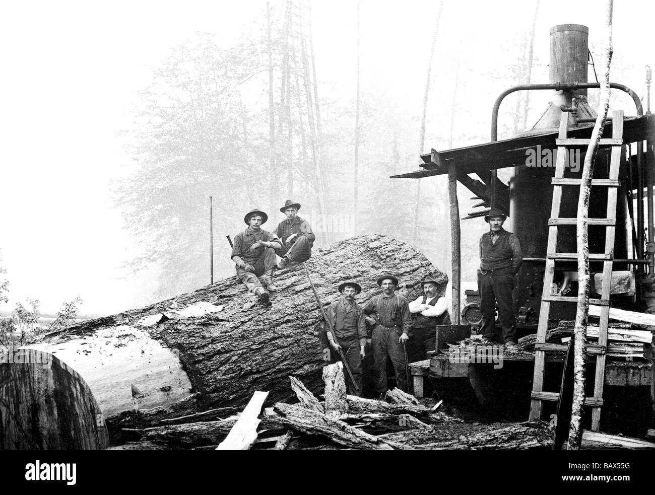 Lumber Break Stock Photo