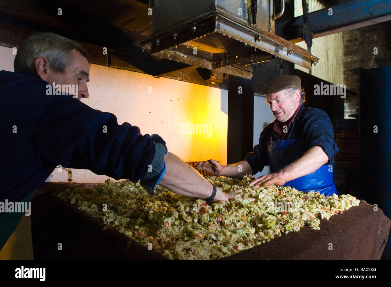 cider maker Roger Wilkins building a cheese of crushed apples for pressing on his hydraulic Beare press Stock Photo