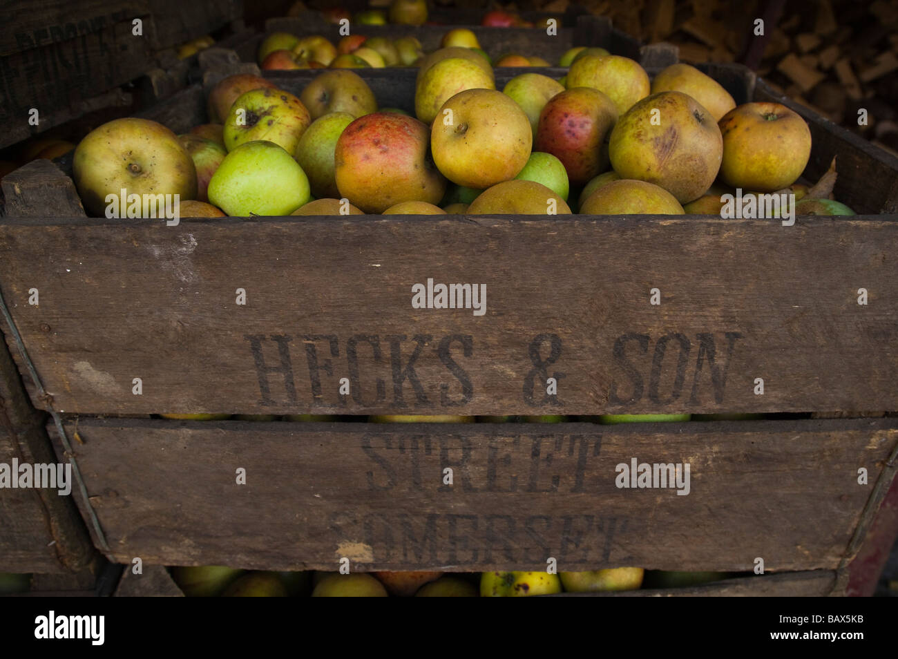 Cider apples in wooden crates ready for crushing Hecks Cider Street Somerset England Stock Photo