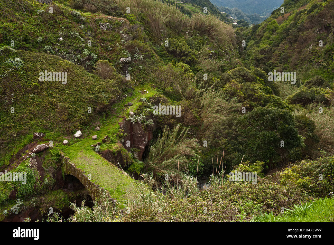 Part of a scenic coastal walk in Madeira Stock Photo