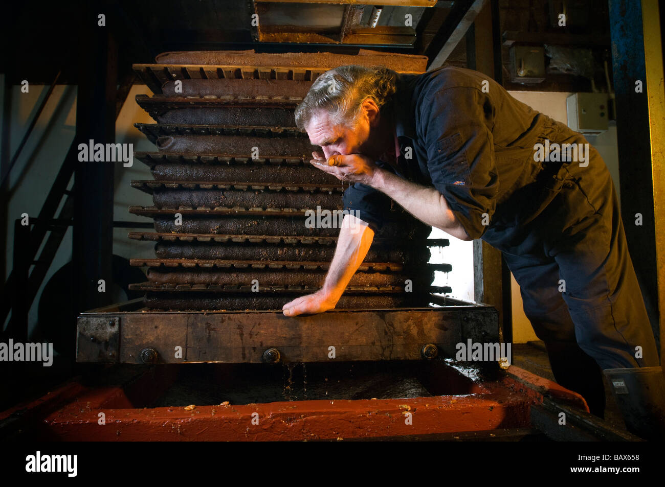 cider maker Roger Wilkins building a cheese of crushed apples for pressing on his hydraulic Beare press Stock Photo