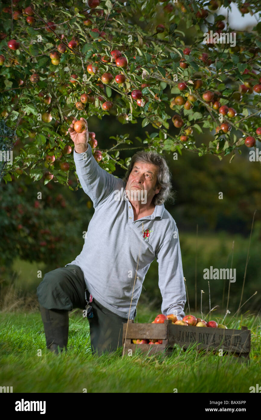Keith Goverd West Country apple juice maker based in Compton Dando near Bath Avon England Stock Photo