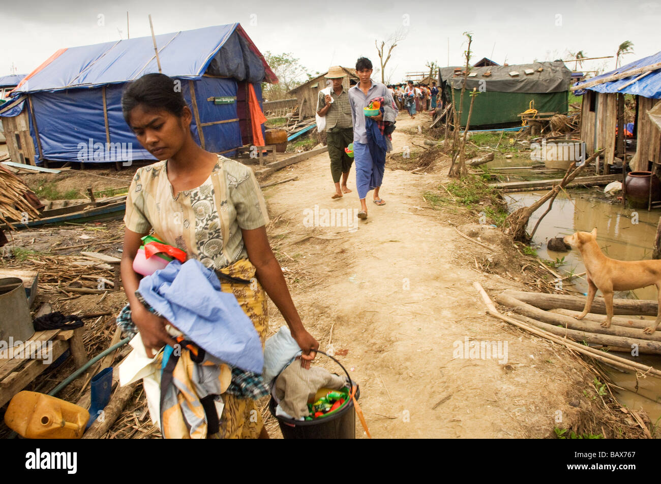 Female survivor collects aid in Bogale after cyclone Nargis struck Myanmar between the 2nd and 3rd of May 2008 and destroyed lar Stock Photo