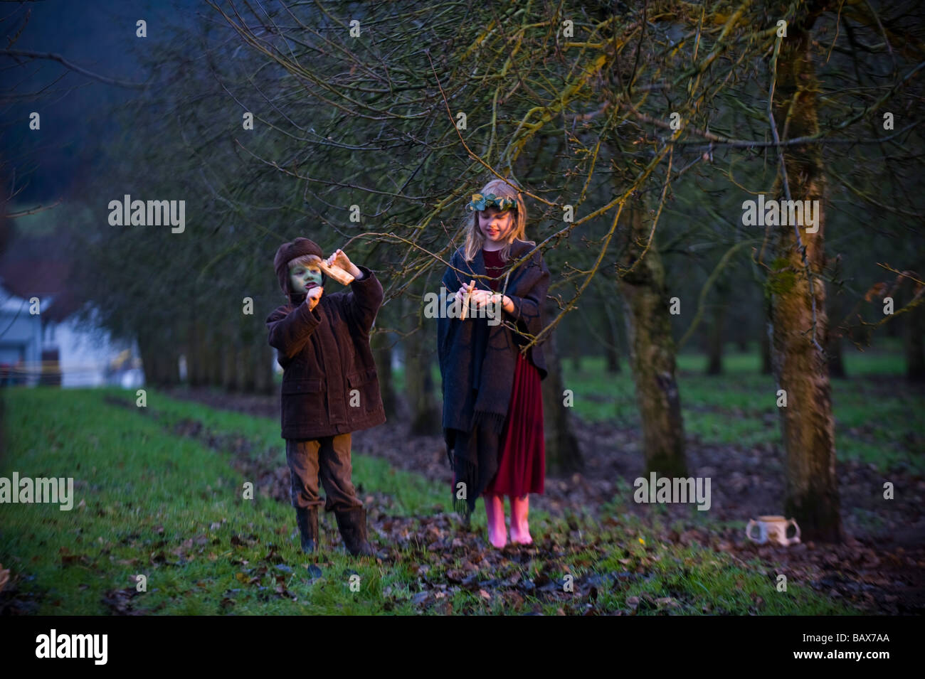 Wassail Queen and Green Man hang toast on an Apple tree during a Wassail event at Thatchers Cider Farm Stock Photo