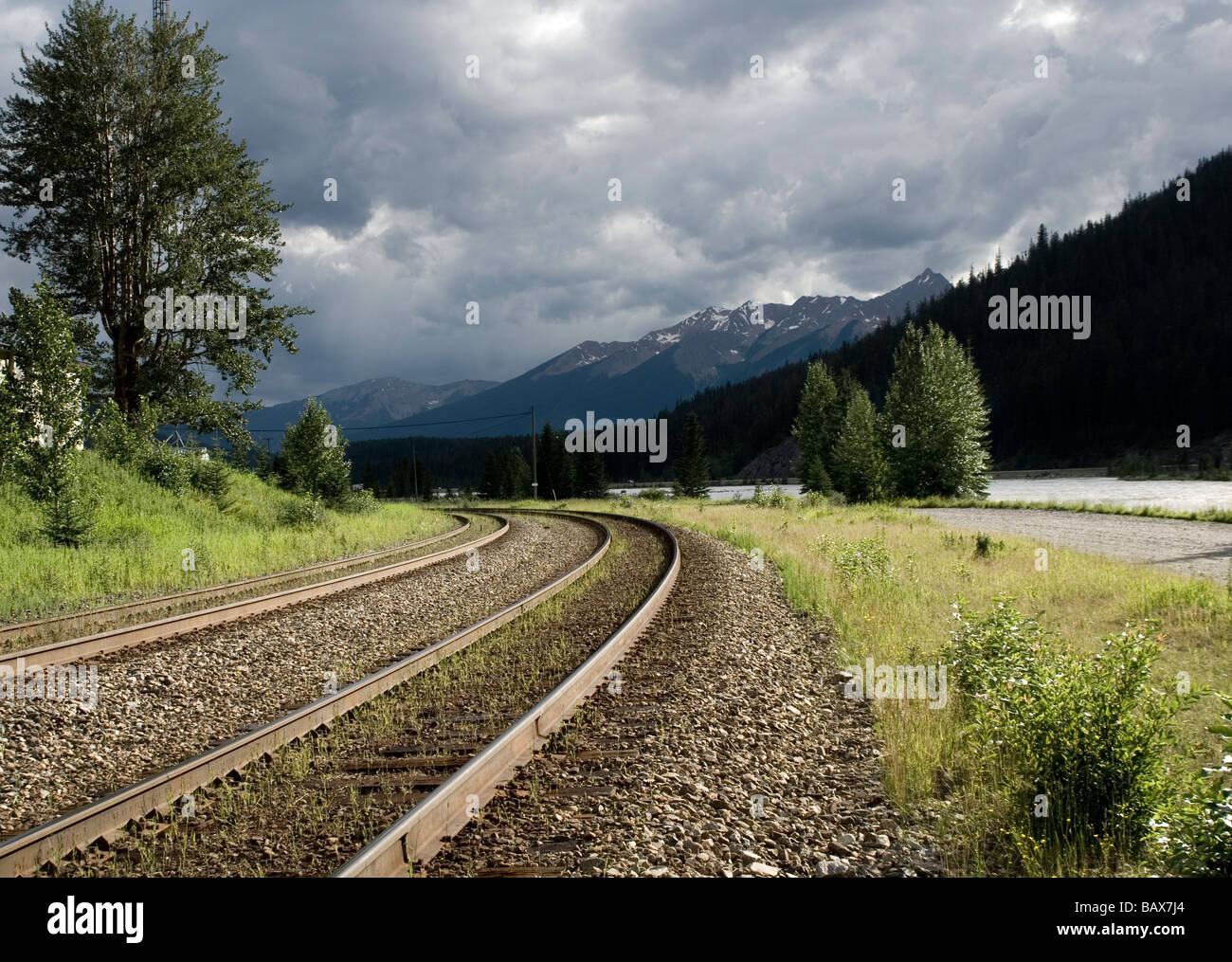 Kikcking Kikcking horse hi-res stock photography and images - Alamy