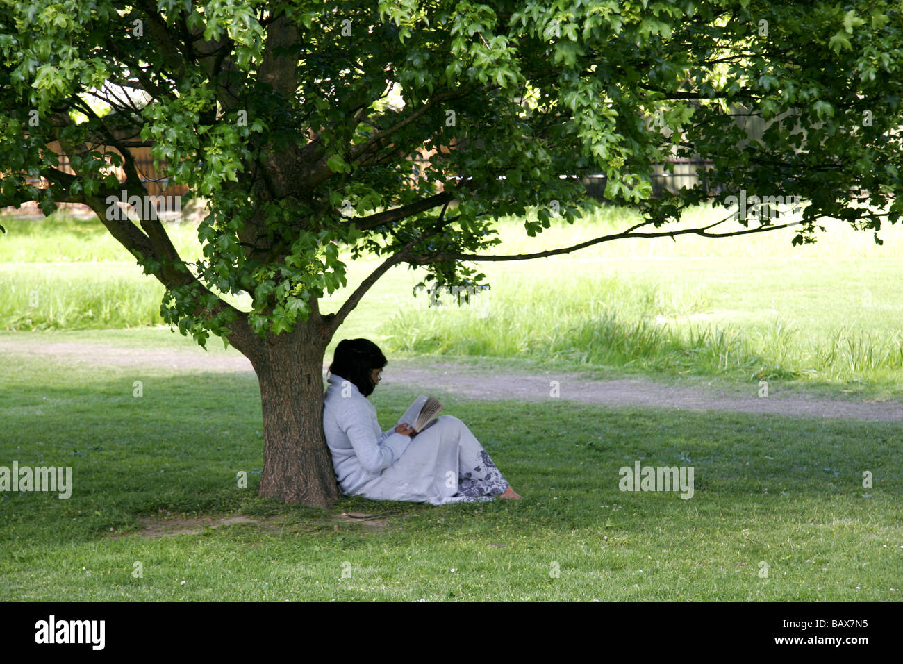 Girl Sitting Reading Under A Tree Hot Girl Hd Wallpaper