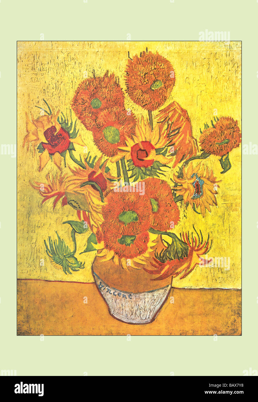 Vase with Fourteen Sunflowers Stock Photo Alamy