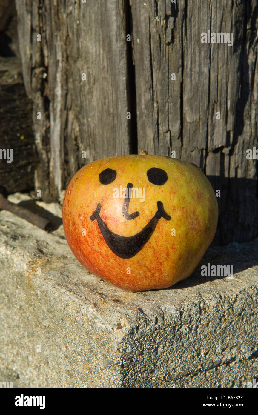 A happy Apple at Julian Temperley s Cider Cider Brandy orchard at