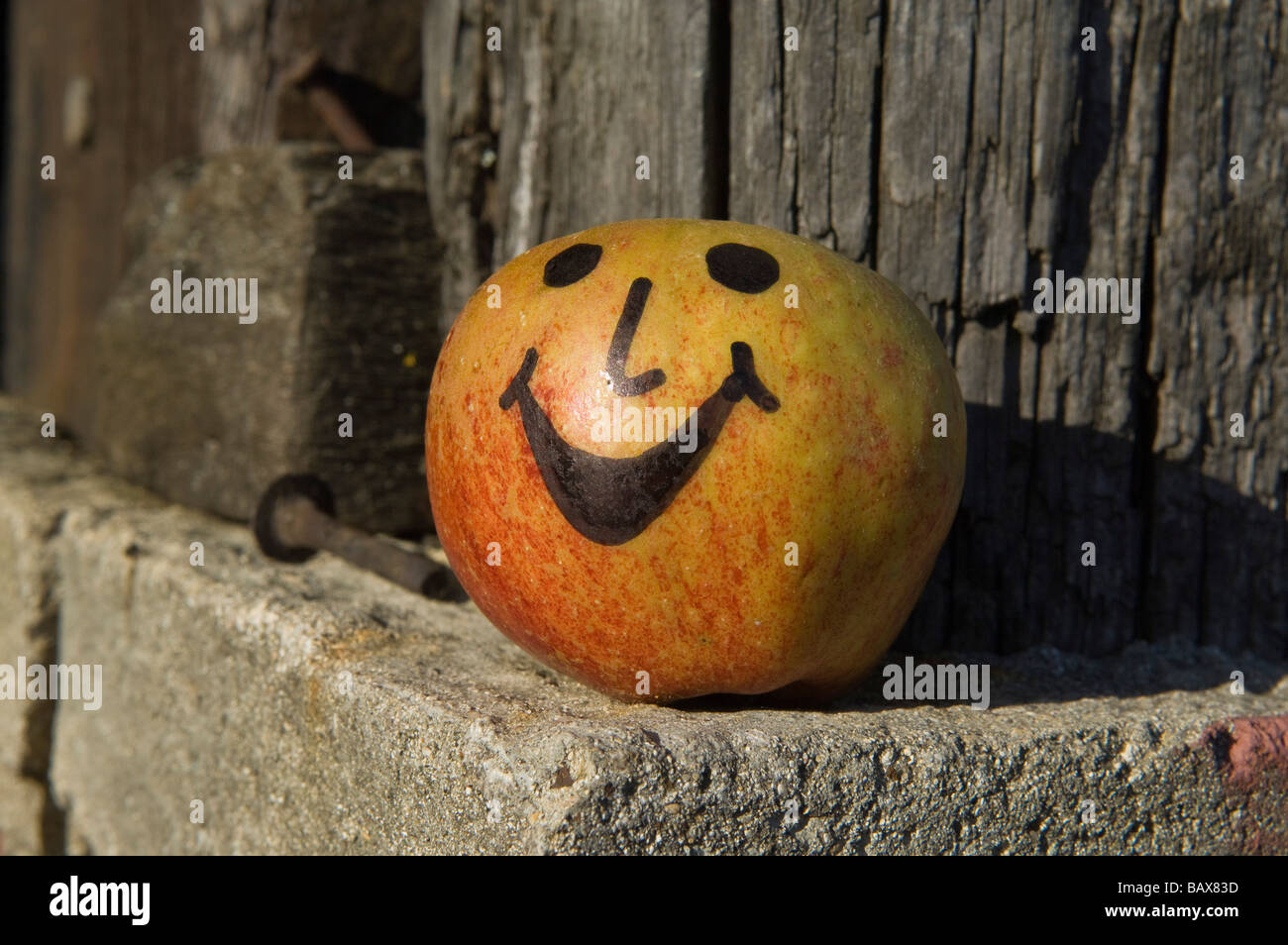 A happy Apple at Julian Temperley s Cider Cider Brandy orchard at Burrow Hill Kingsbury Episcopi Somerset England Stock Photo