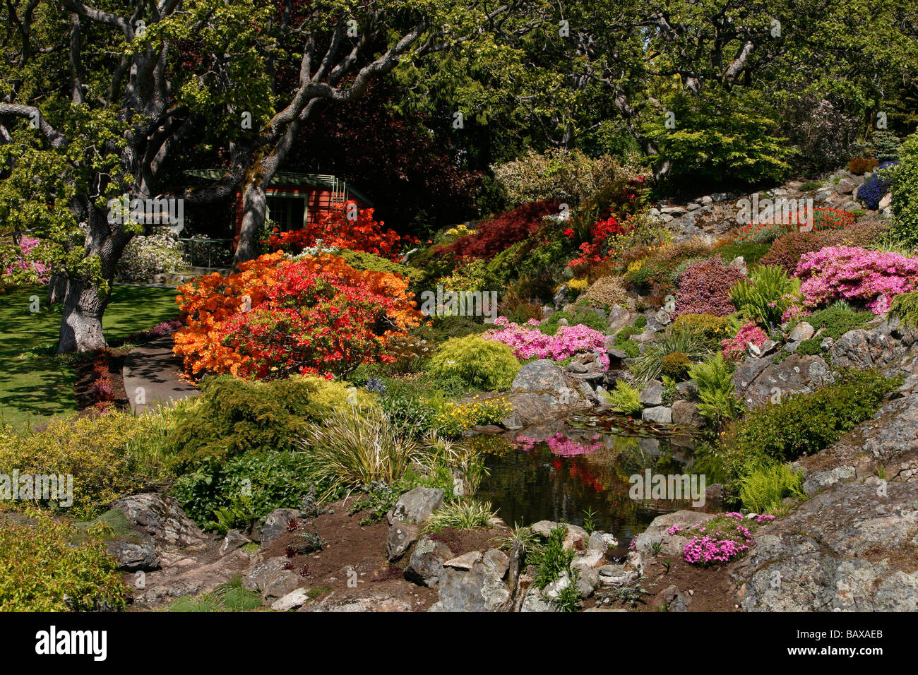 Abkhazi gardens in victoria hires stock photography and images Alamy
