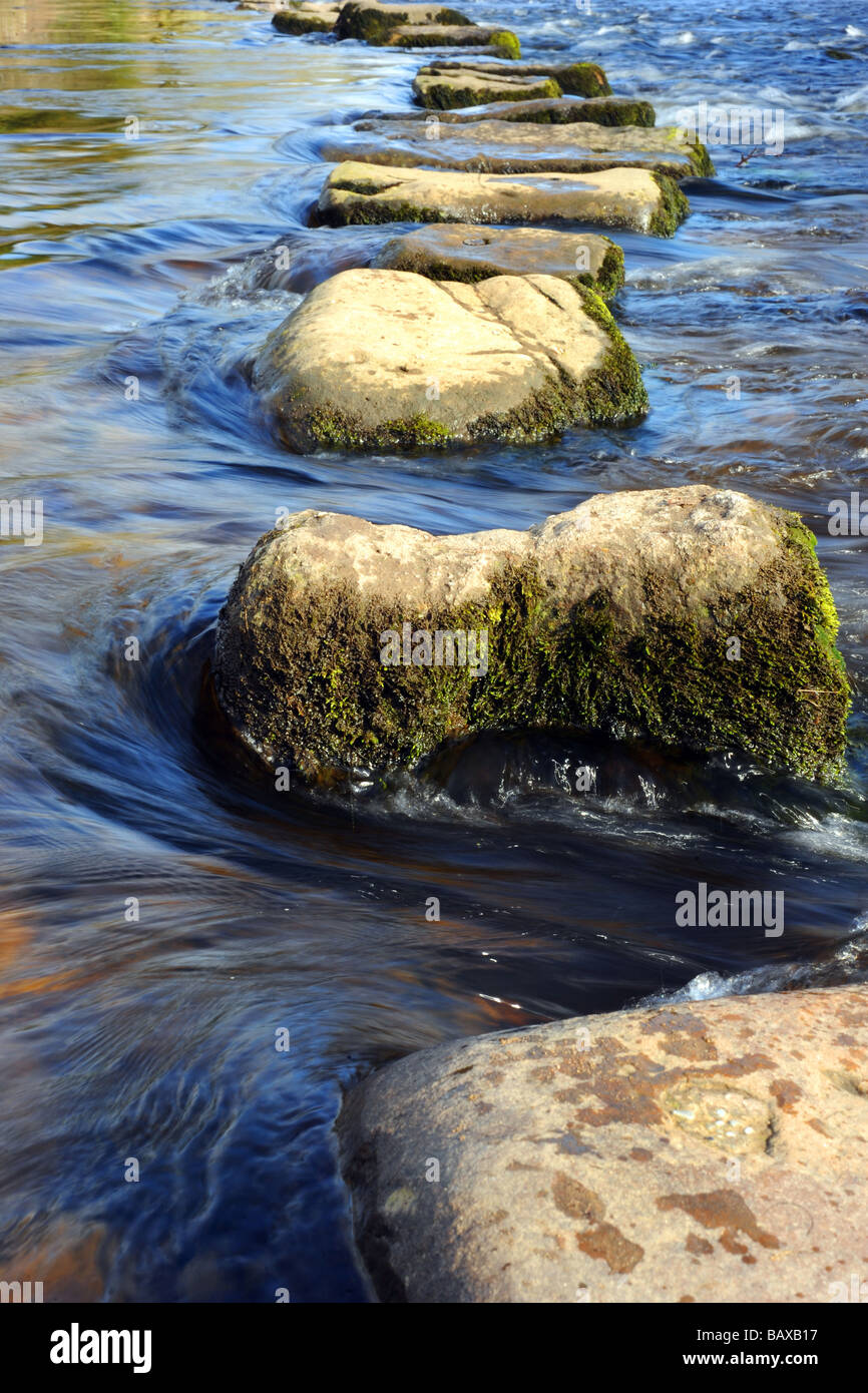 Stepping stones hi-res stock photography and images - Alamy