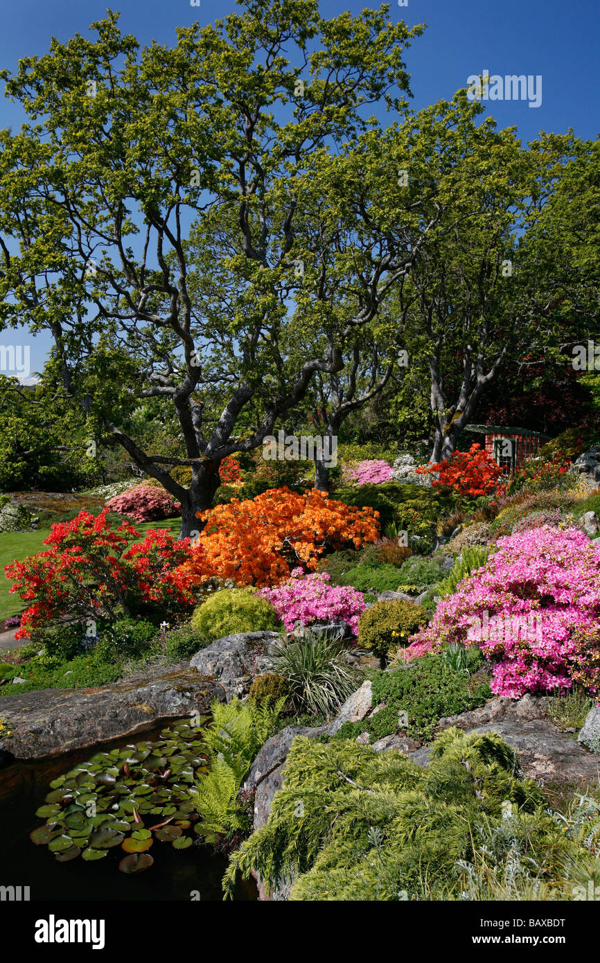 Abkhazi garden victoria british columbia canada hires stock