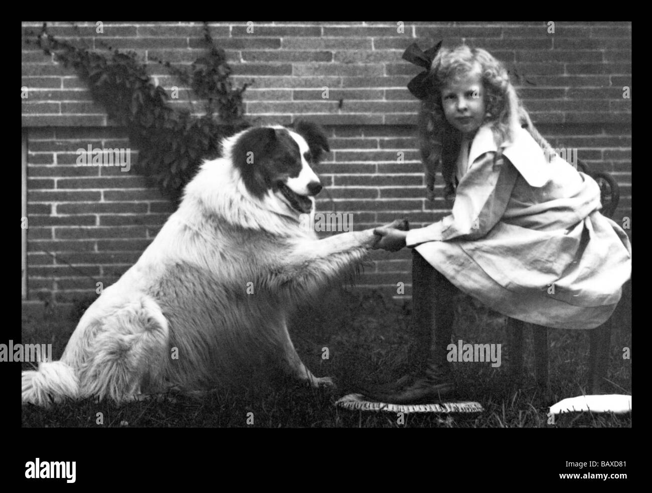 Girl Shaking Hands with Dog Stock Photo