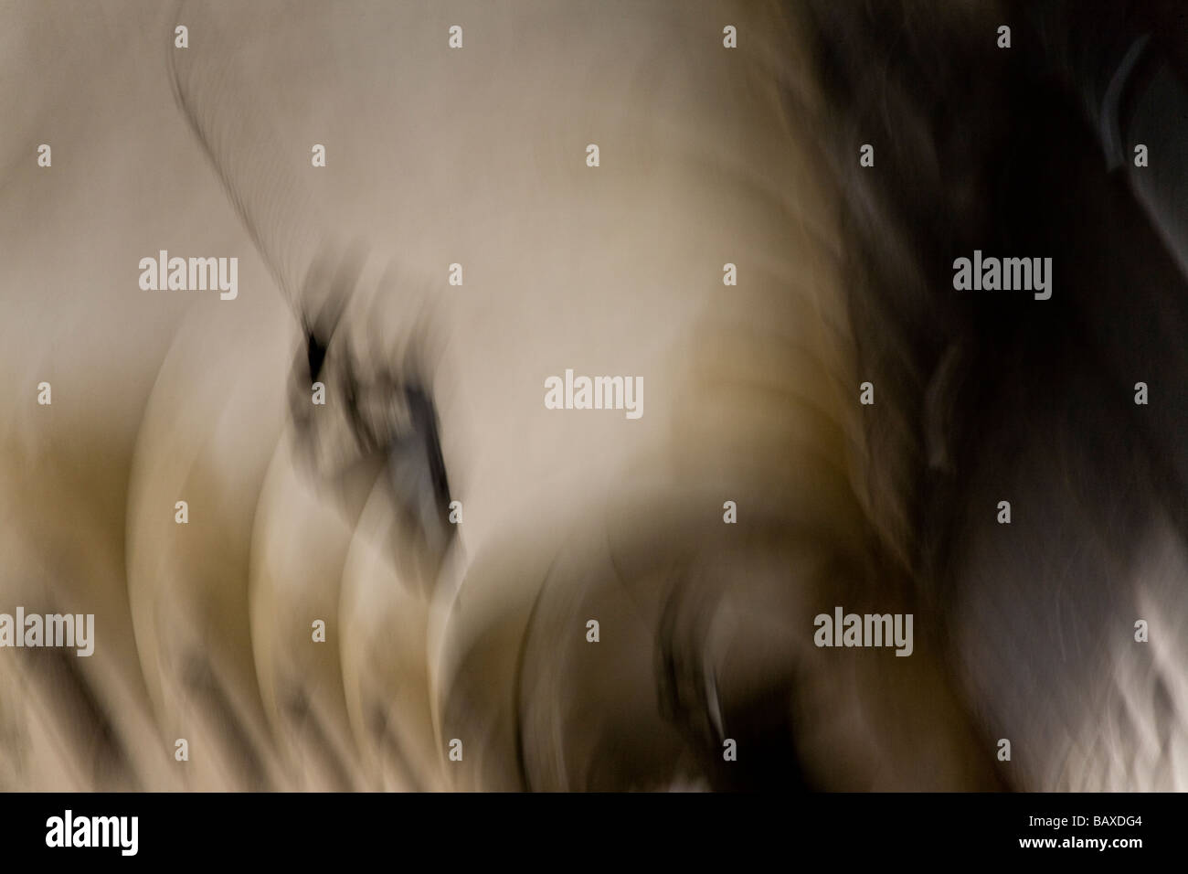 Unusual View Of The Palace High Resolution Stock Photography and Images ...