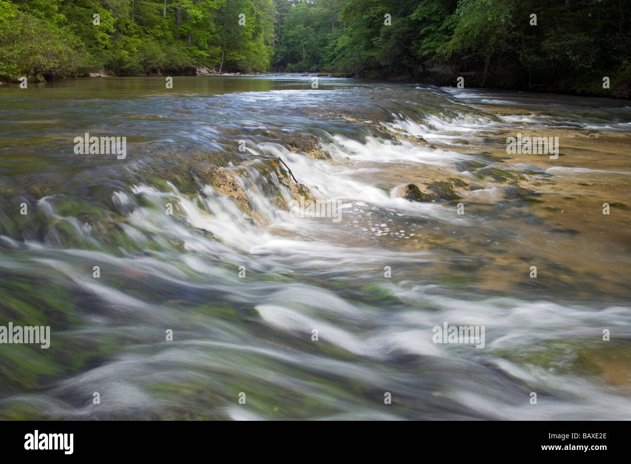 Kistachie Bayou, Kisatchie National Forest, Louisiana Stock Photo Alamy