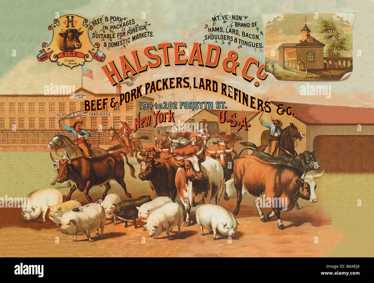 Halstead & Co. Beef & Pork Packers,Lard Refiners Stock Photo Alamy