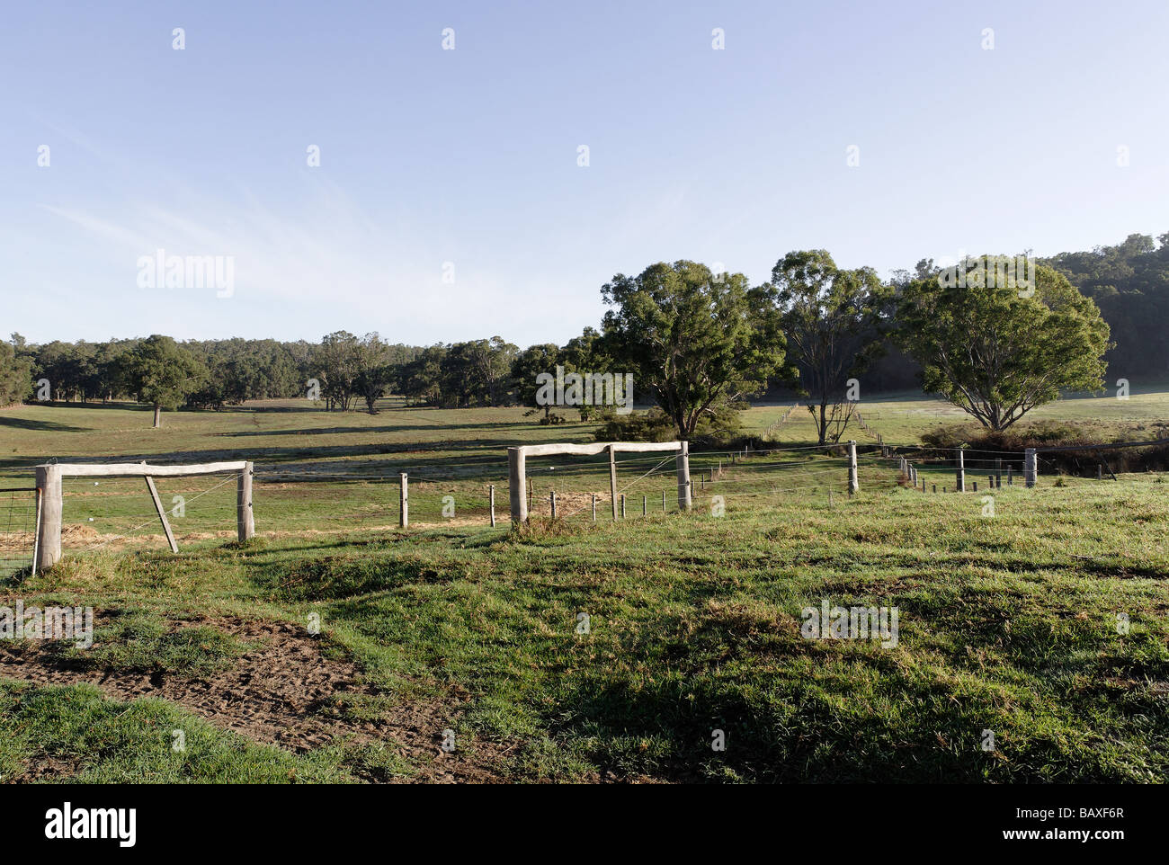 Warm spring day in country southwest western australia Stock Photo - Alamy