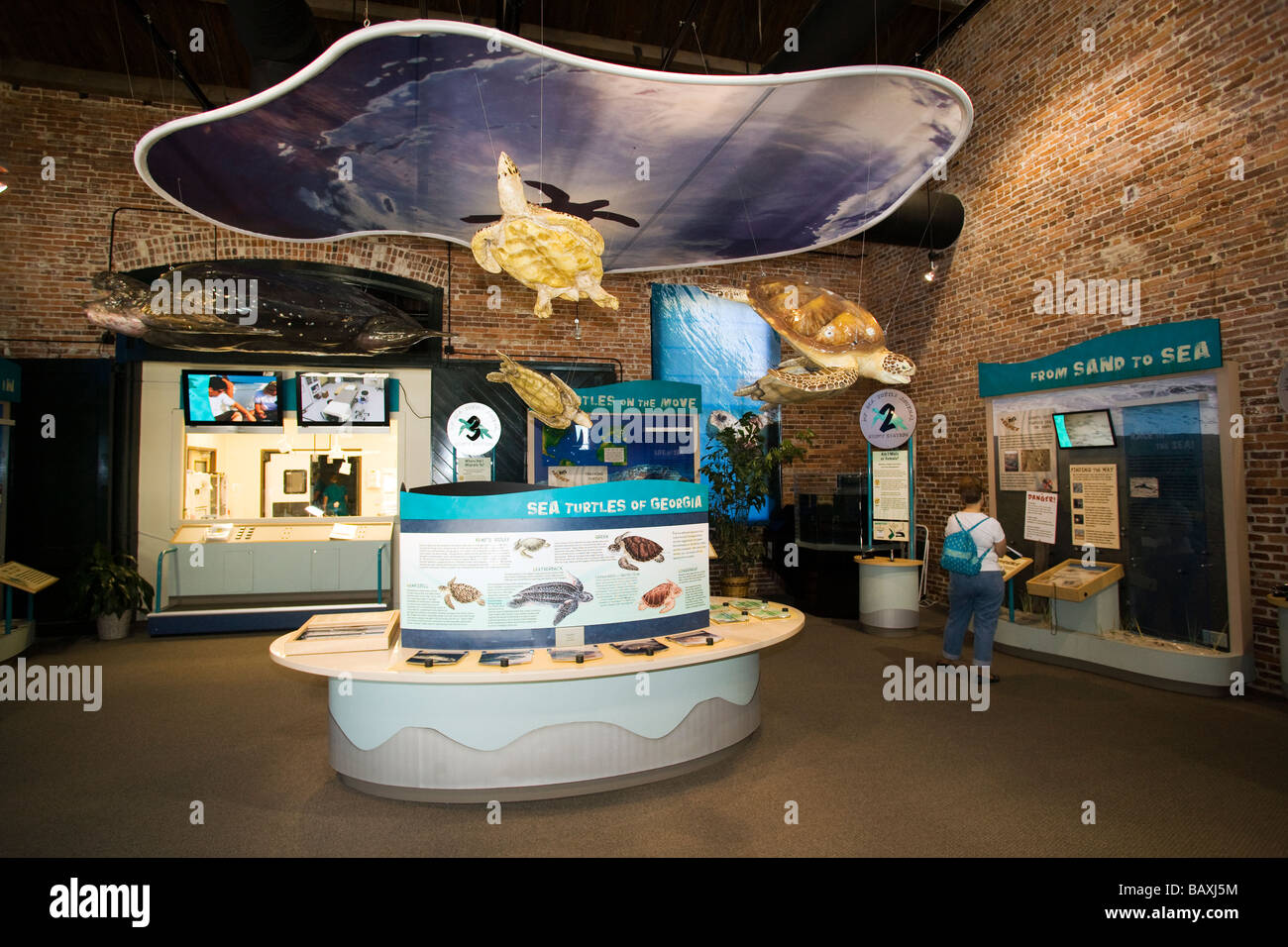 https://c8.alamy.com/comp/BAXJ5M/exhibits-at-georgia-sea-turtle-center-jekyll-island-georgia-BAXJ5M.jpg