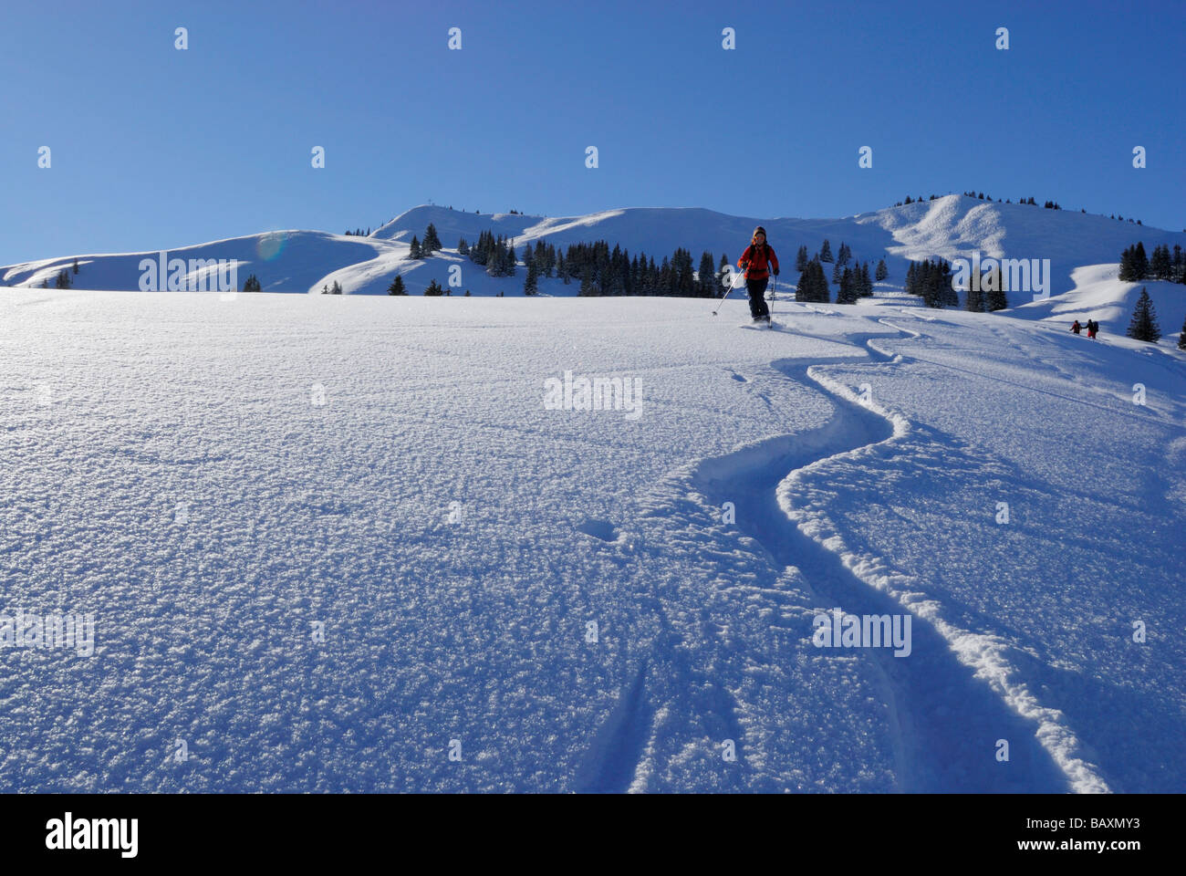 young woman skiing in powder snow with hoar frost beneath Hoellritzereck and Bleicherhorn, Allgaeu range, Allgaeu, Schwabia, Bav Stock Photo