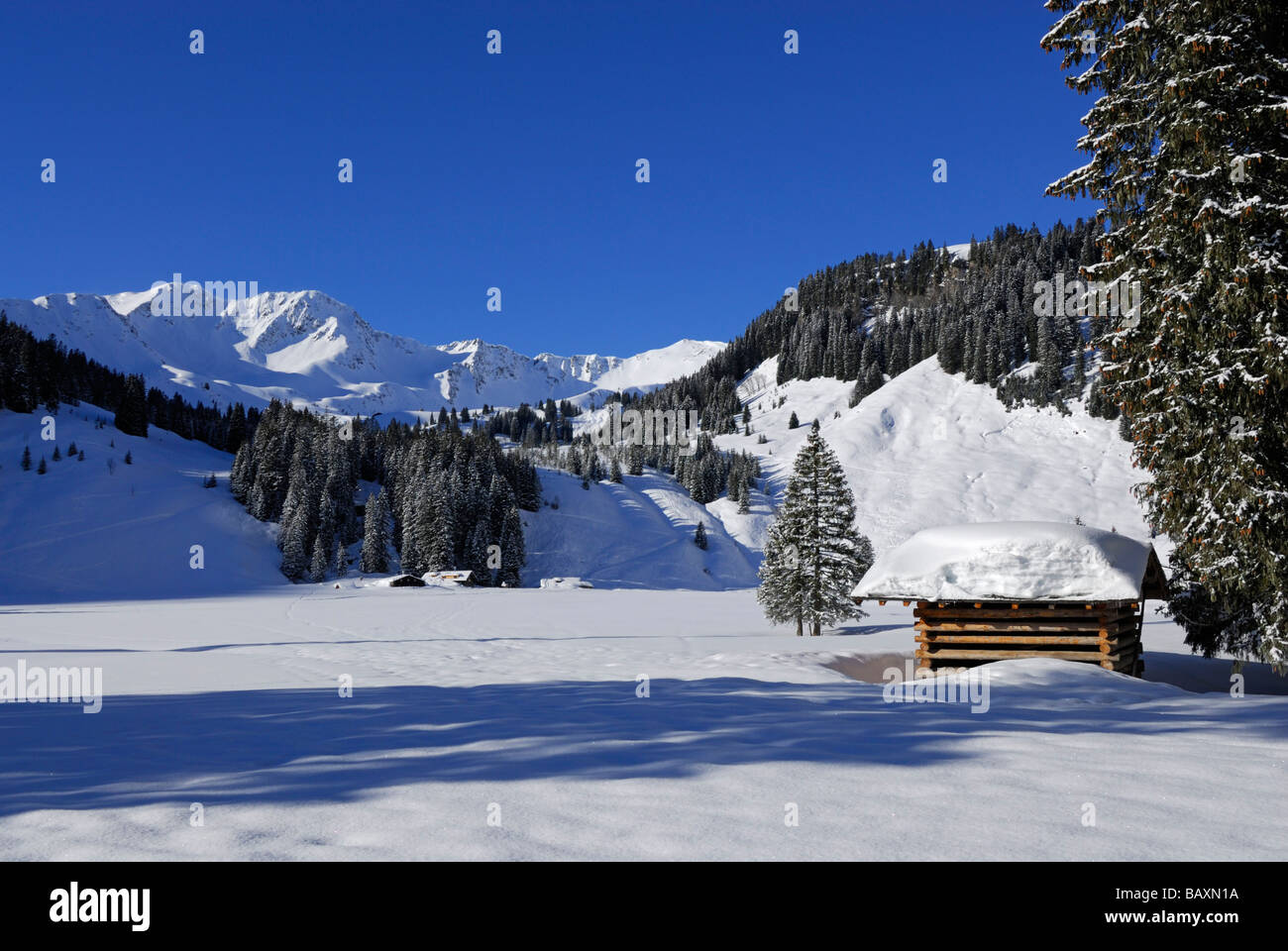 deeply snow-covered haystack with Gruenhorn, Galtoede, Melkoede, Schwarzwassertal, Kleinwalsertal, Allgaeu range, Allgaeu, Vorar Stock Photo