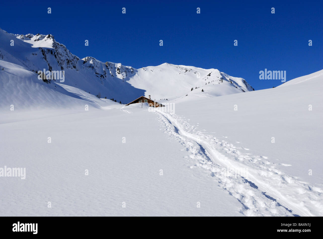 ski track leading towards deeply snow-covered alpine hut, Schwarzwassertal, Kleinwalsertal, Allgaeu range, Allgaeu, Vorarlberg, Stock Photo