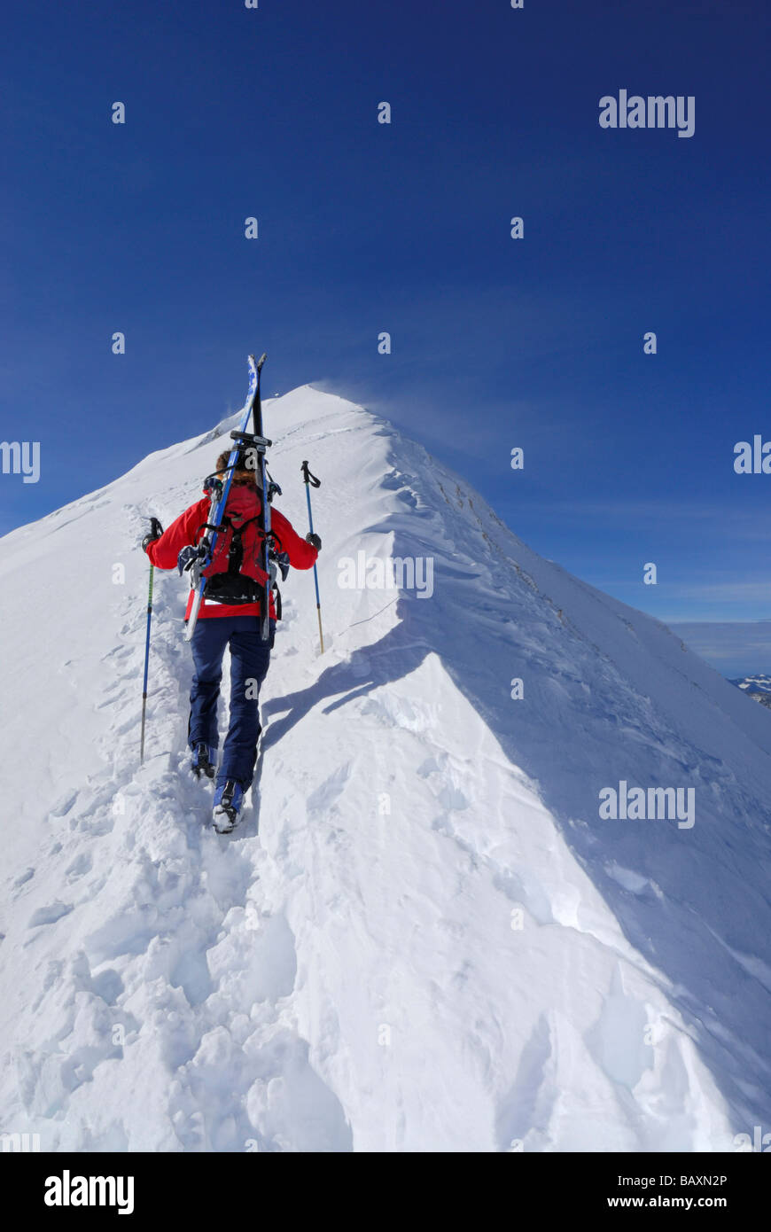 young woman ascending summit ridge of Guentlespitze, Kleinwalsertal, Allgaeu range, Allgaeu, Vorarlberg, Austria Stock Photo