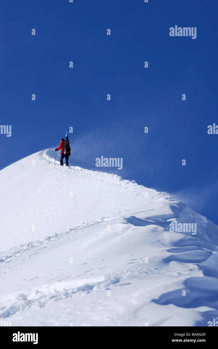 young woman ascending summit ridge of Guentlespitze, Kleinwalsertal, Allgaeu range, Allgaeu, Vorarlberg, Austria Stock Photo