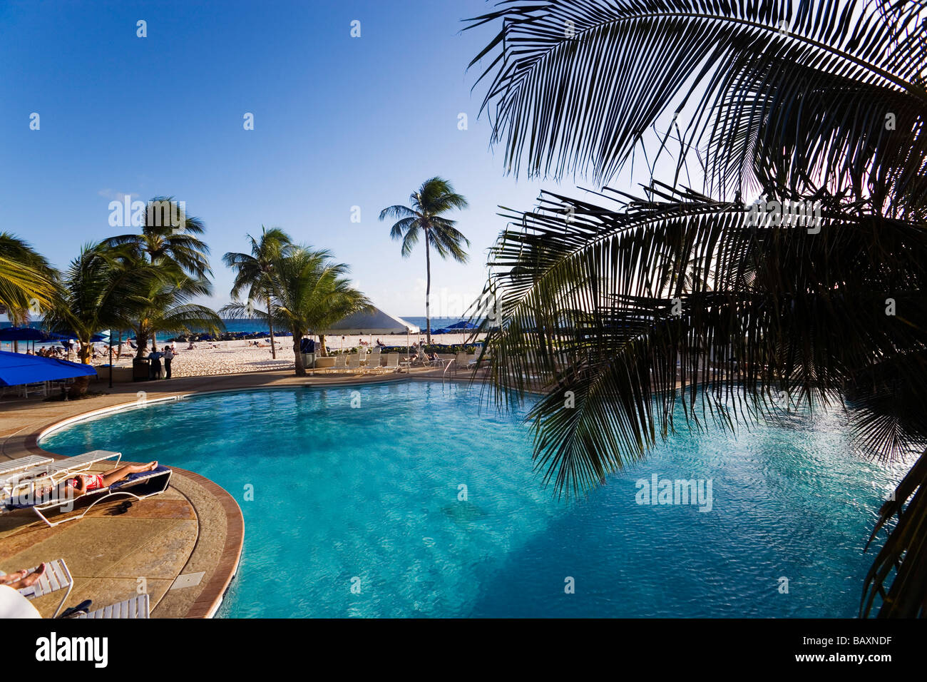 Pool area of the Hilton Hotel, Needham's Point, Barbados, Caribbean Stock Photo