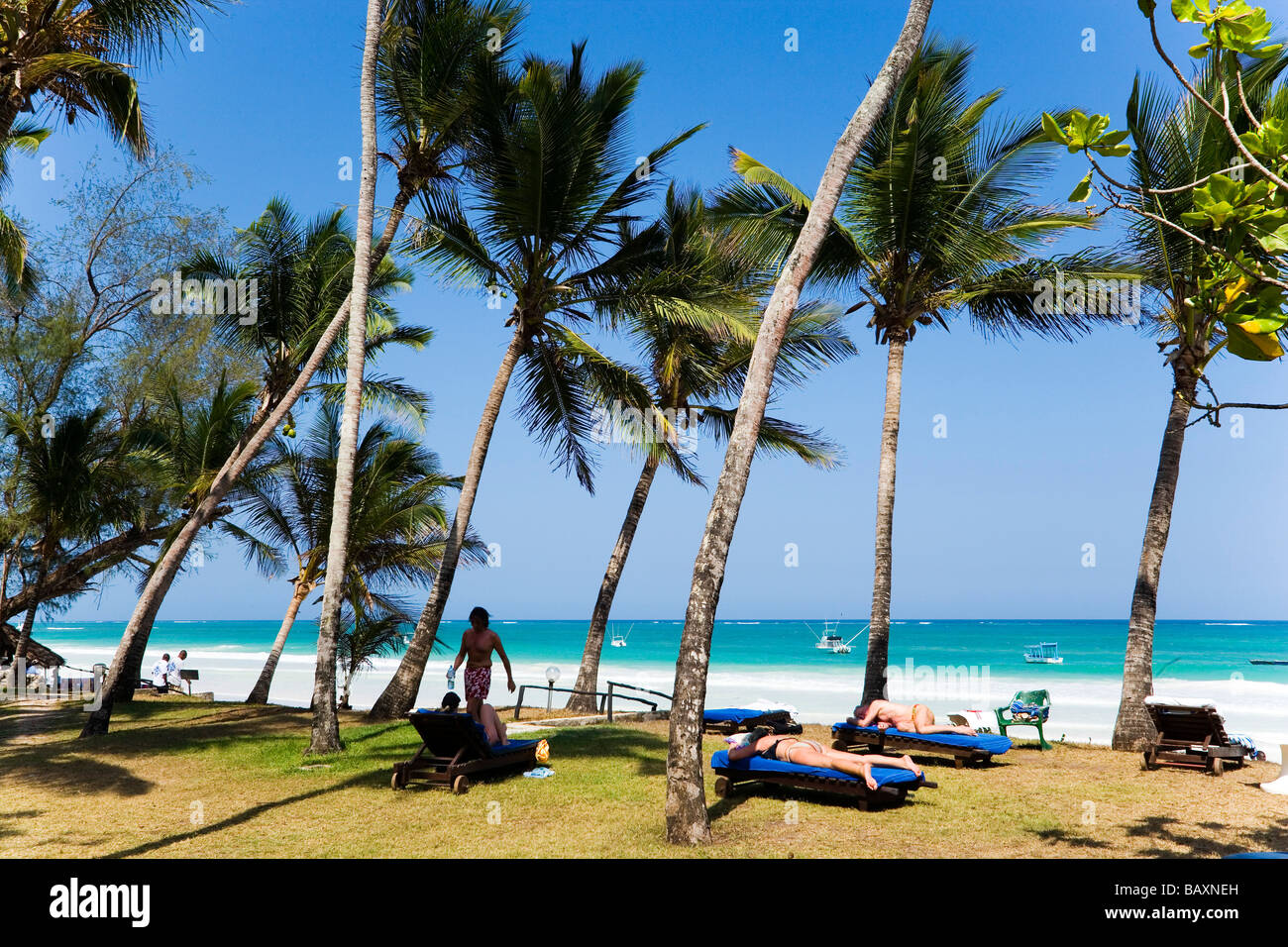 Palm beach, The Sands, at Nomad, Diani Beach, Kenya Stock Photo