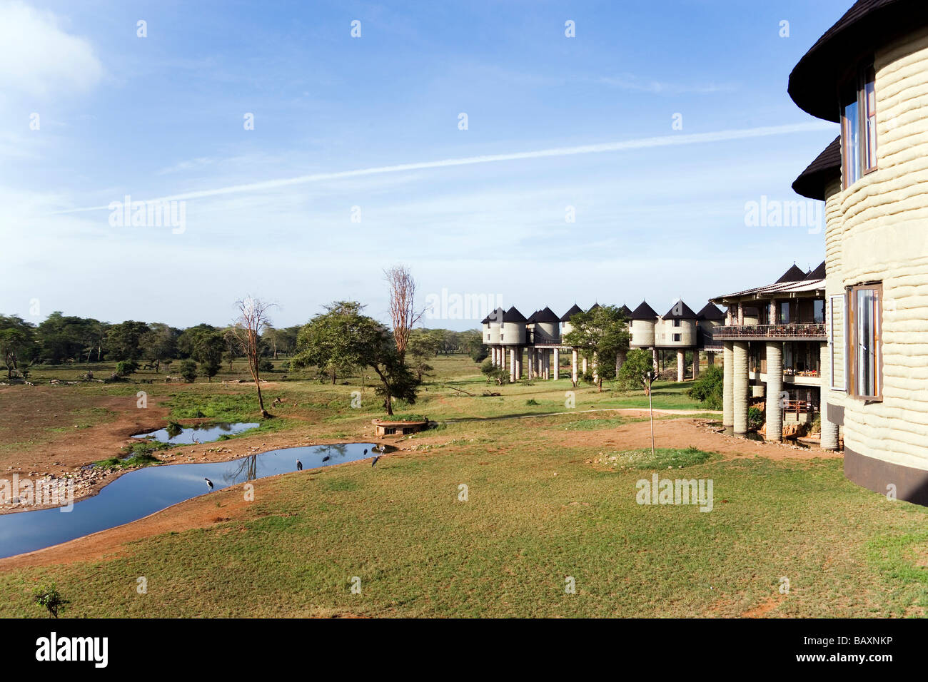 Sarova Salt Lick Lodge, Taita Hills Game Reserve, Coast, Kenya Stock Photo