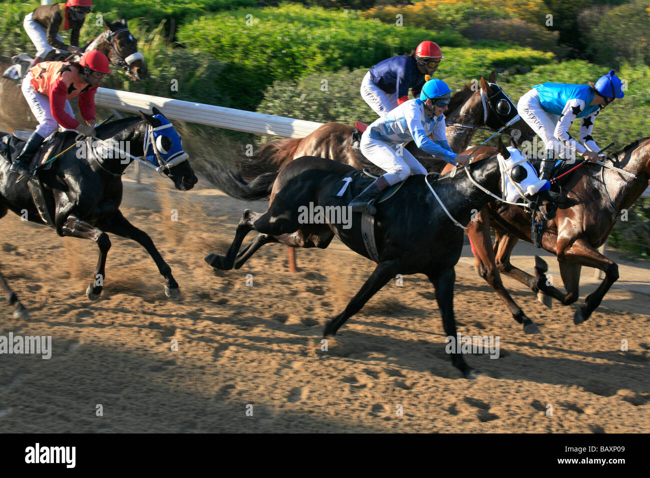 Cyprus horse riding hires stock photography and images Alamy