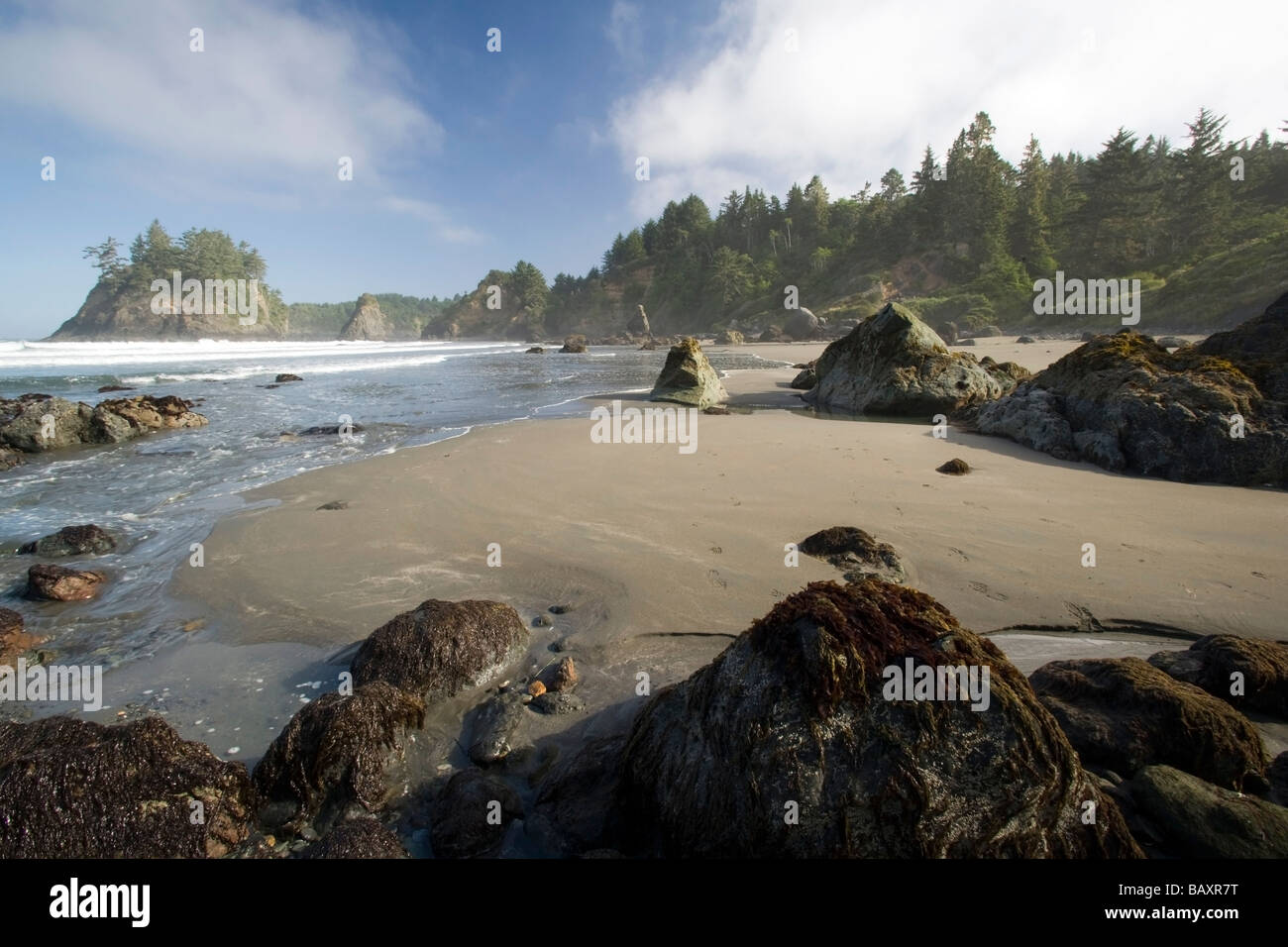 Trinidad Beach Trinidad, California USA Stock Photo Alamy