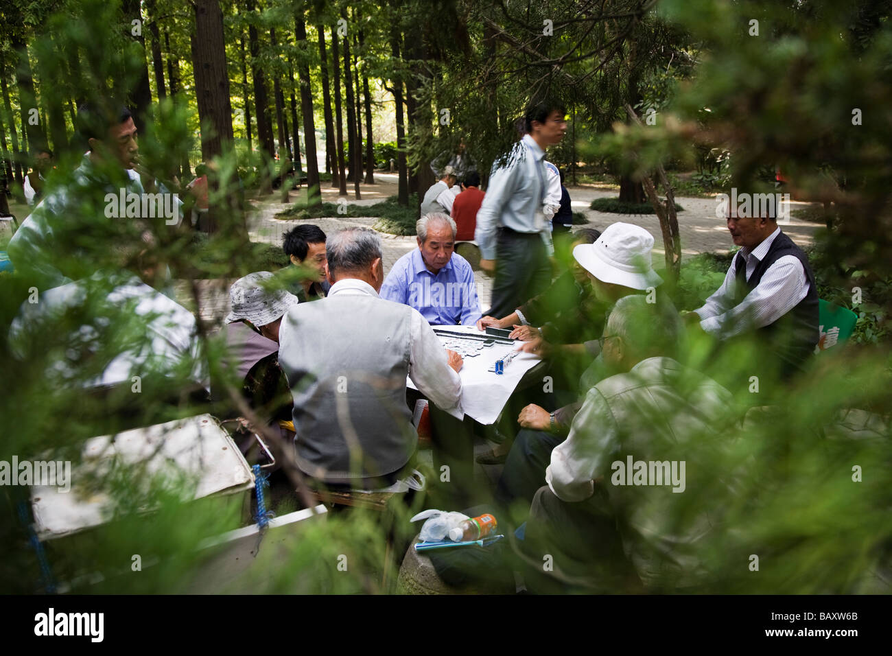 Playing Mah Jong in Zhongshan Park Shanghai China Stock Photo