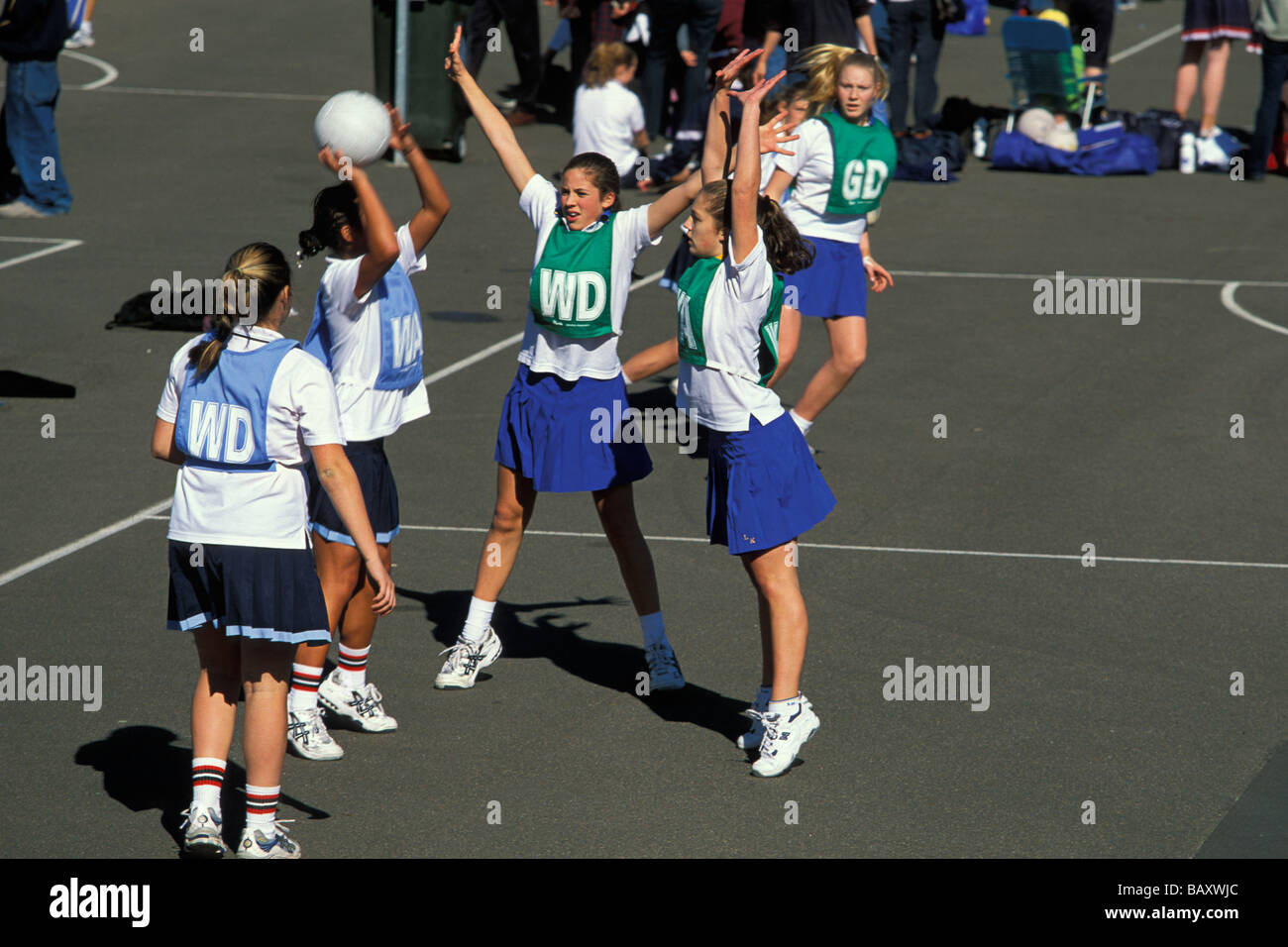 Saturday morning school netball, an Australian weekend tradition, in the North Shore suburb of Willoughby Sydney New South Wales Stock Photo