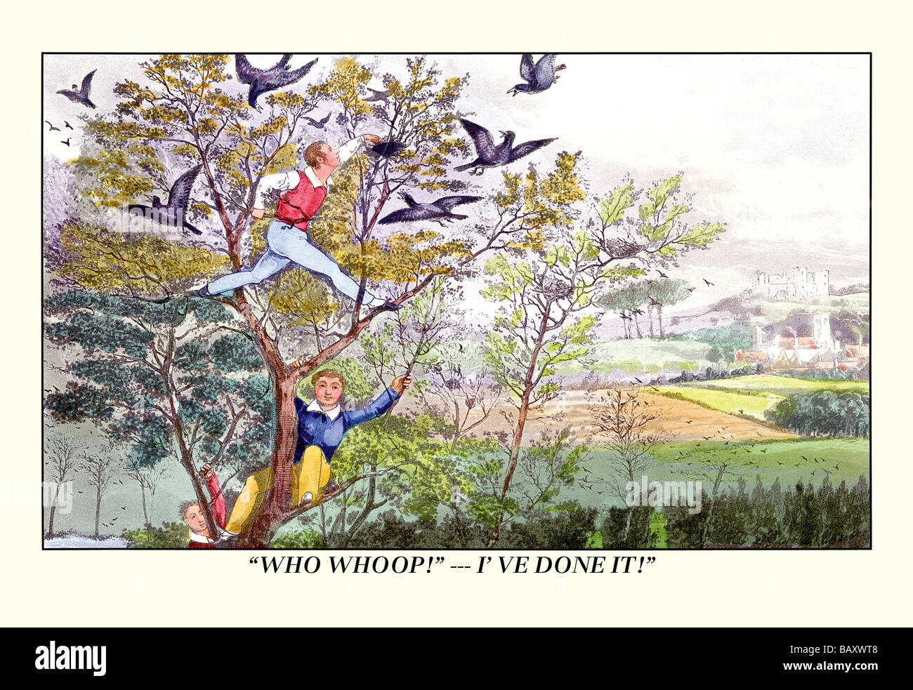 Stealing Birds' Eggs Stock Photo Alamy