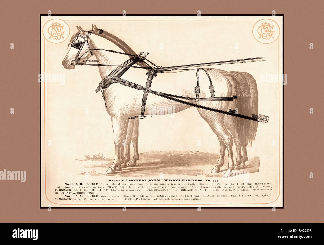 Double "Honest John" Wagon Harness Stock Photo Alamy